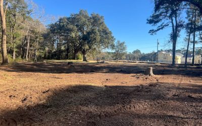 Land Clearing Methods for Development: 2026 Guide