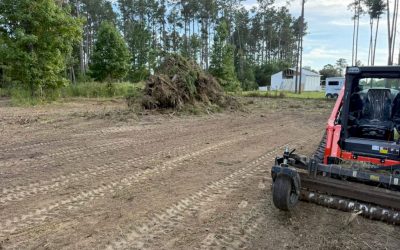 Charleston Backyard Clearing: What Homeowners Must Know