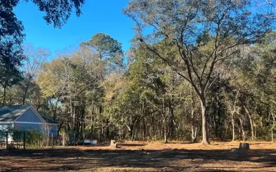 Commercial and New Development Tree Clearing in North Charleston, SC