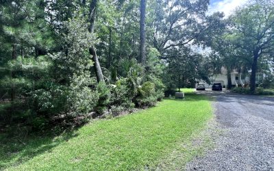 Coastal Tree Risk: What Kiawah and Seabrook Island Homeowners Should Watch For After a Storm